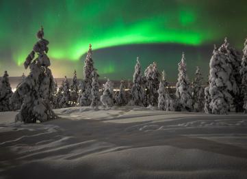 Polar Vip Transfer Services